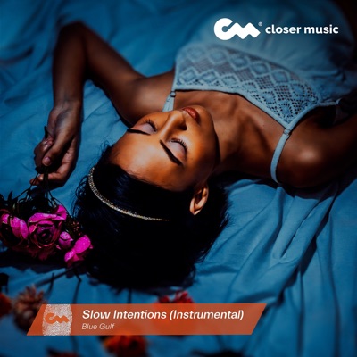 Slow Intentions (Instrumental) - Single