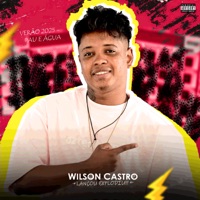 Pau e Água - Verão 2025 - EP - Wilson Castro