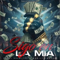 Sigo en la Mia - Single - Benji Gramitos & benjitalkapone