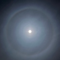 Cry (feat. Rogi) - Single - MVP