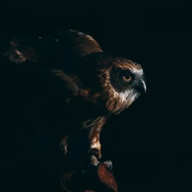 On Top Godmode, Lavito & BTWRKS