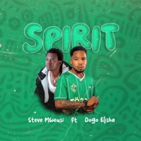 Spirit (feat. Dogo Elisha) - Single - Steve Mweusi