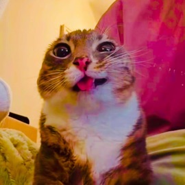 Rewind That// Sumine