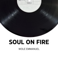 Soul on fire (Spoken words) - Single - Wole Emmanuel