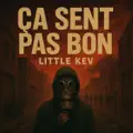 Ca sent pas bon