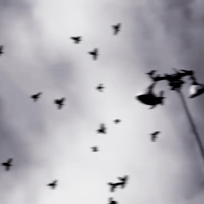 THE MORNING - Single