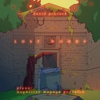 Lost Woods (feat. Augustine Mayuga Gonzales) [New Recording] - Single - David Peacock