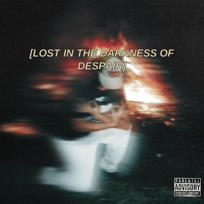LOST IN THE DARKNESS OF DESPAIR