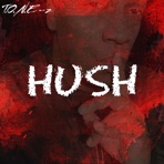 Hush - Single