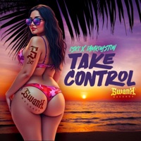 Take Control - Single - Iski & Iamroyston
