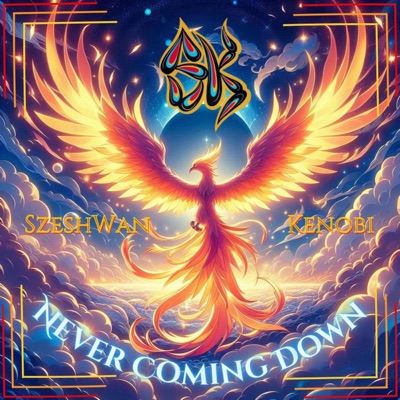 Never Coming Down - Single