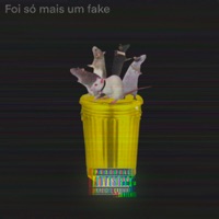 Foi Só Mais um Fake - Single - Gekkopunk, baby internet & lucas daplug