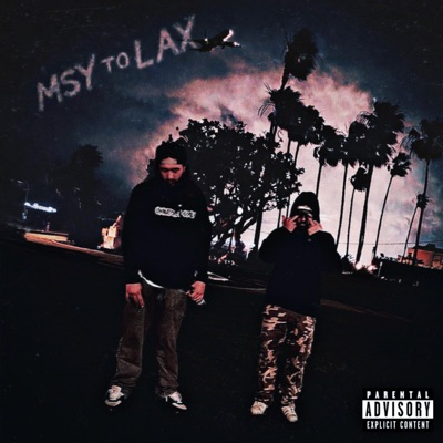 MSY TO LAX