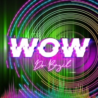 WOW (Radio Edit) - Single - Dr. Bazil