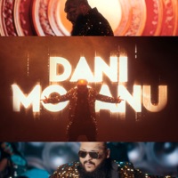 Diss Music Romania - Single - Dani Mocanu