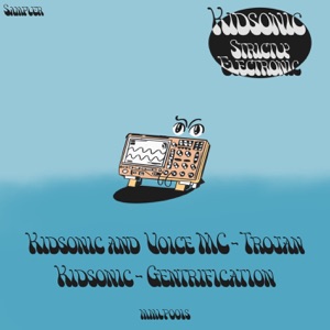 Strictly Electronic LP Sampler - Single