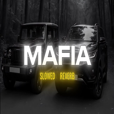 Bhav Yadav - Mafia Slowed Reverb