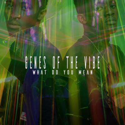 What Do You Mean - Single