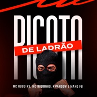 Picota de Ladrão - Single - MC Hugo R2, Kwandow & Mc Riquinho