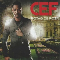Botão de Rosa - CEF Tanzy