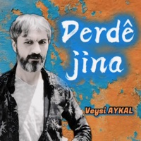 Derdê Jina - Single - Veysi AYKAL