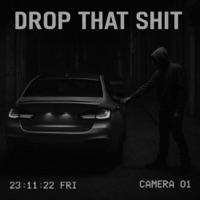 drop that shit - Single - Braga