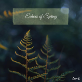 Echoes of Spring - EP