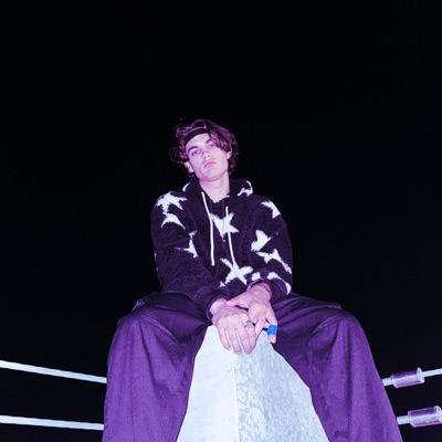 NOBODY BUT YOU (FALLING FOR THESE HOES) - Single