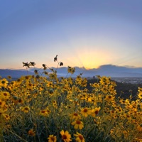 Even If - Single - Chelle Mosso