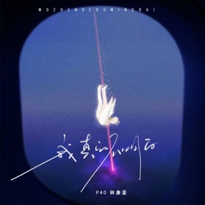 我真的不明白 - Single