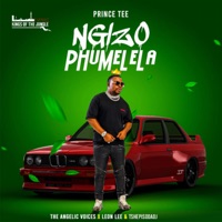 Ngizo Phumelela (feat. The Angelic Voices, Leon Lee & TshepisoDaDj) - Single - Prince Tee