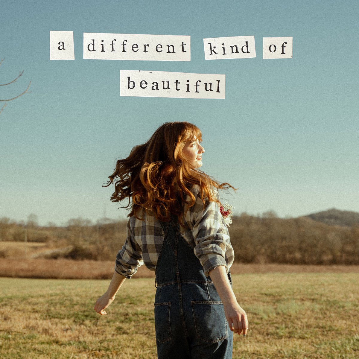  a different kind of beautiful single album by lauryn marie apple