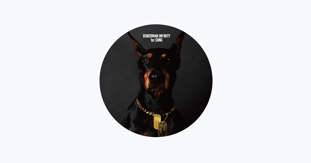 【メーカー直送】 INFINITY DOBERMAN - Music Apple 邦楽