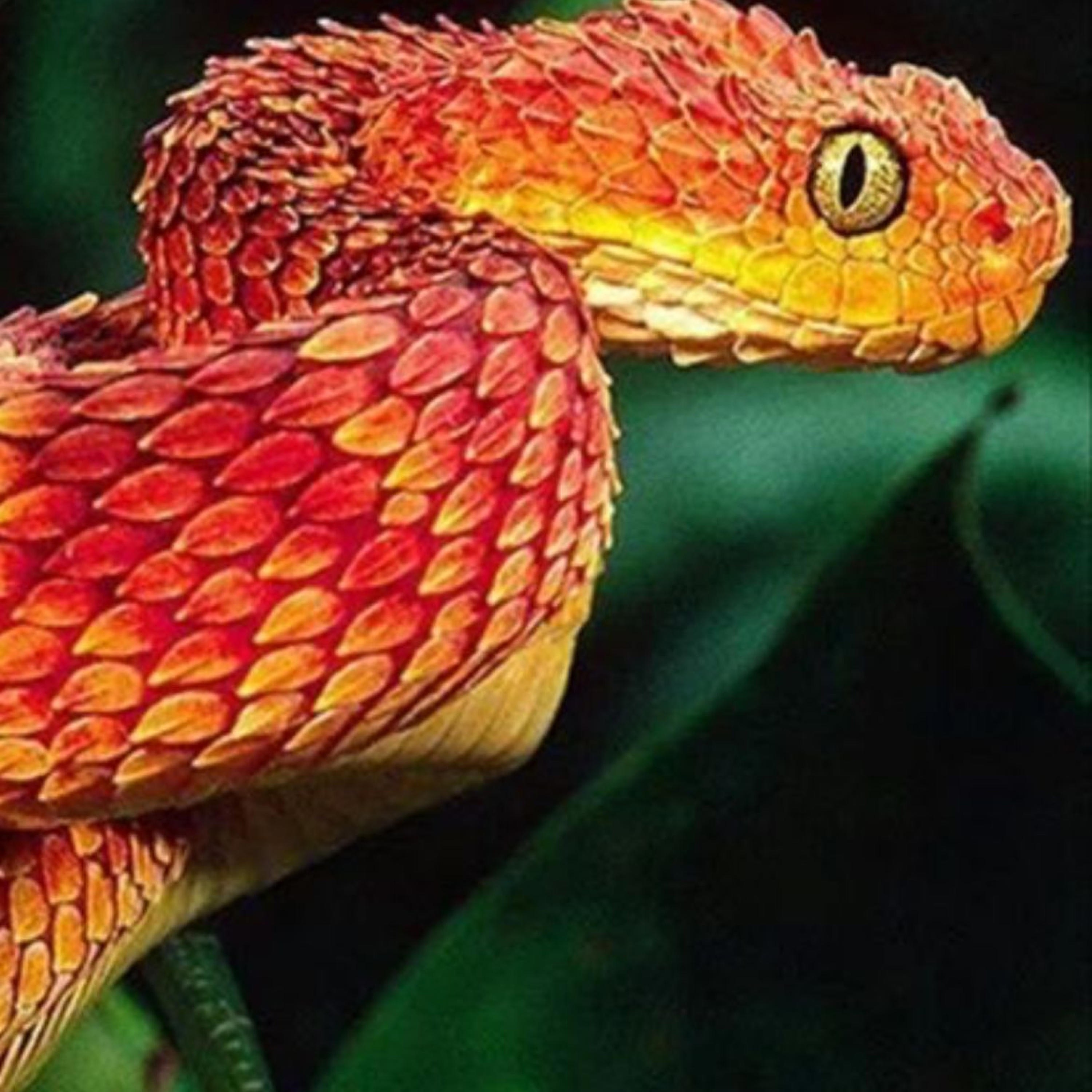 Kissed by a snake - Single