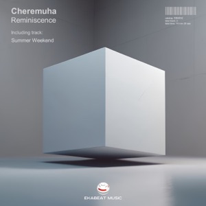 Reminiscence - Single