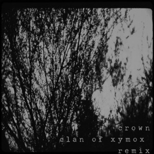 Crown (Clan of Xymox Remix) - Single
