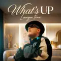 WHAT'S UP