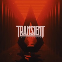 Narcissist - Single - Transient