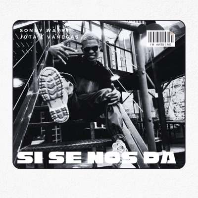 Si Se Nos Da (feat. Jota L Vanegas) - Single