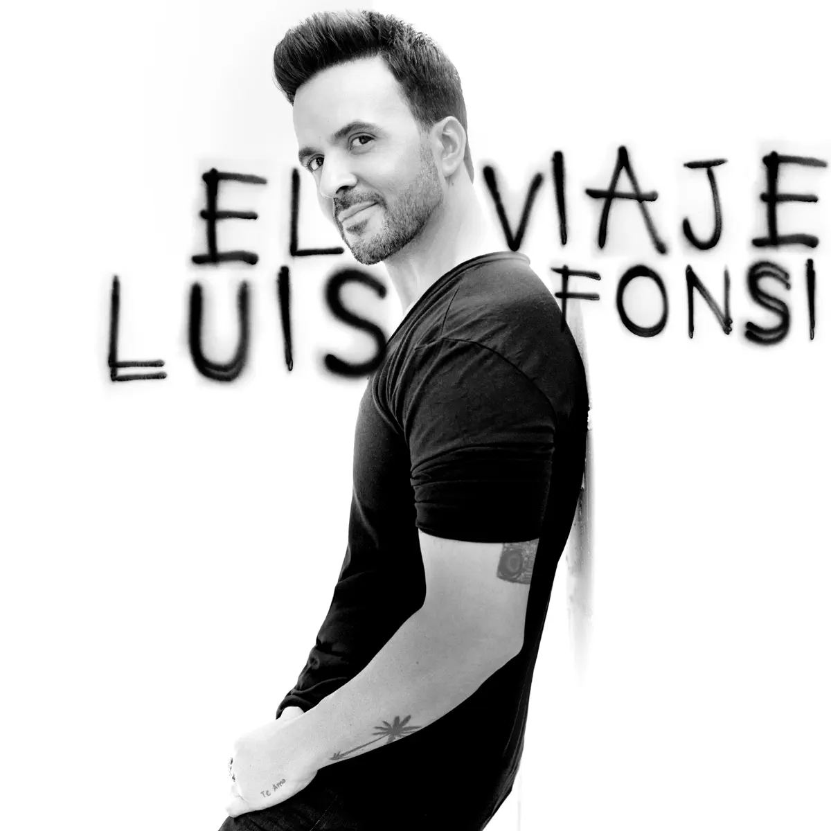 Luis Fonsi - El Viaje (2024) [iTunes Plus AAC M4A]-新房子