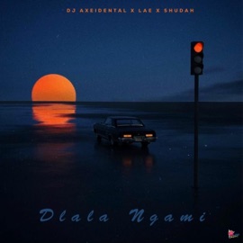 Dlala Ngami DJ Axeidental, LAE & Shudah