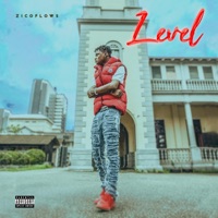 Level - Single - Zicoflows