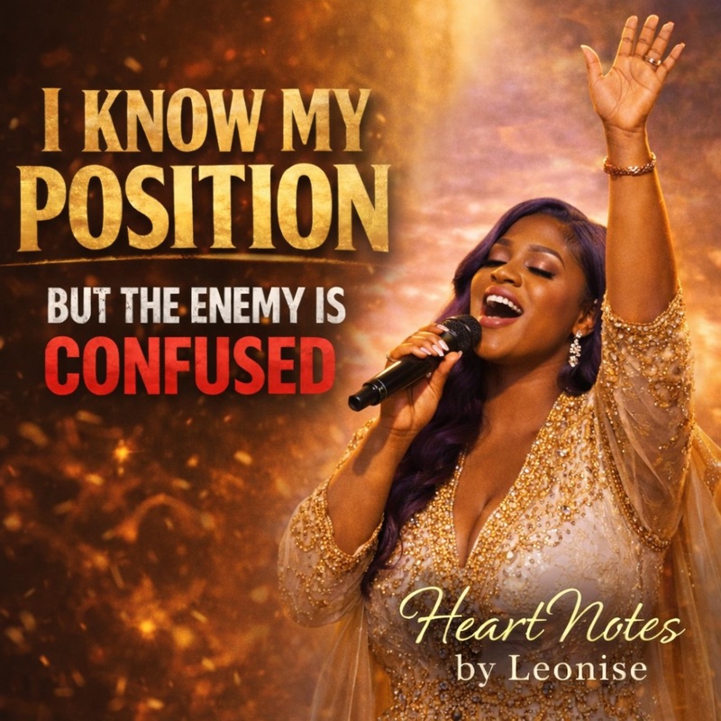 I Know My Position But The Enemy Is Confused - HeartNotes by Leonise ...