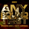 Any Sound Test - Single