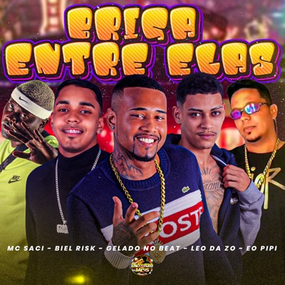 Briga Entre Elas (feat. MC Saci) - Single