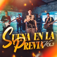 Suena en la Previa, Vol.7 (feat. Matias Gerez) - Single