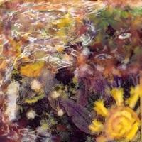 Collisions