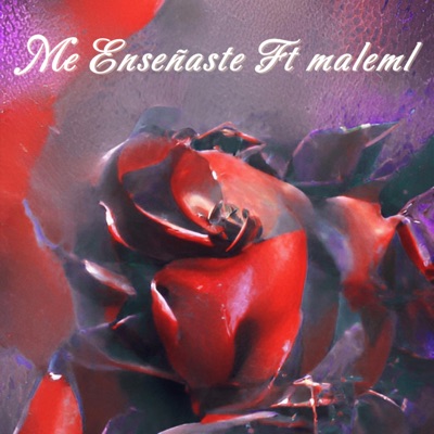 Me Enseñaste (feat. Maleml) - Single