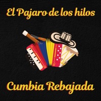 El pájaro de los hilos - Single - Los Amos Del Sonidero