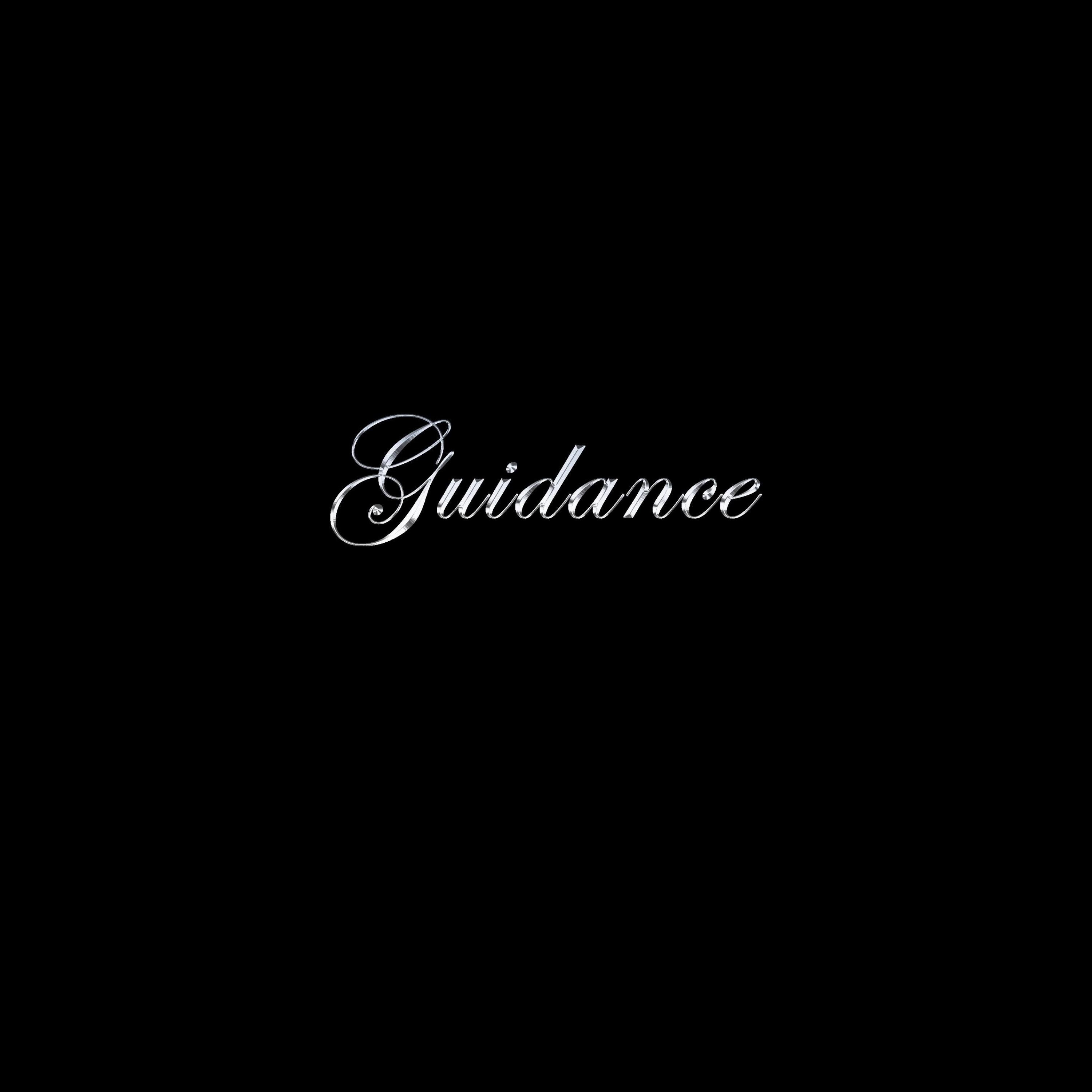 Guidance - Single